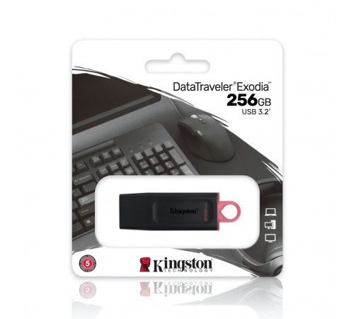 Флеш-накопитель | 256 GB | Kingston DataTraveler Exodia | USB 3.2