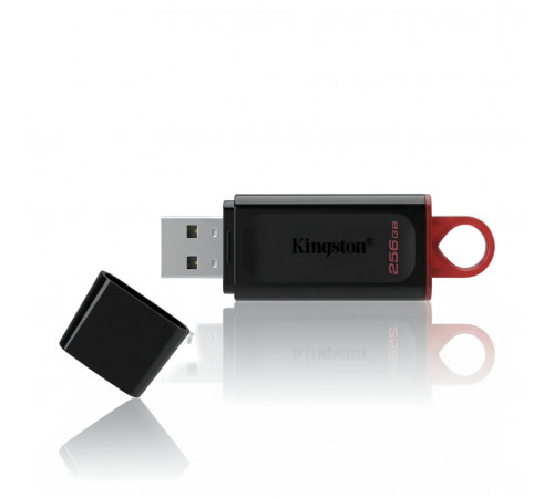Флеш-накопитель | 256 GB | Kingston DataTraveler Exodia | USB 3.2