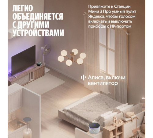 Умная колонка Яндекс Станция Мини 3 Про | Алиса | Серый