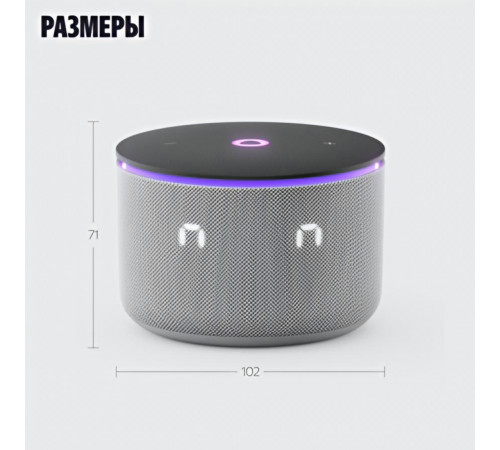 Умная колонка Яндекс Станция Мини 3 Про | Алиса | Серый