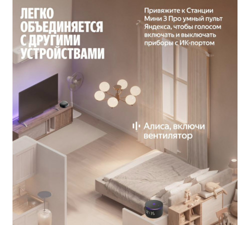 Умная колонка Яндекс Станция Мини 3 Про | Алиса | Чёрный
