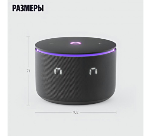 Умная колонка Яндекс Станция Мини 3 Про | Алиса | Чёрный