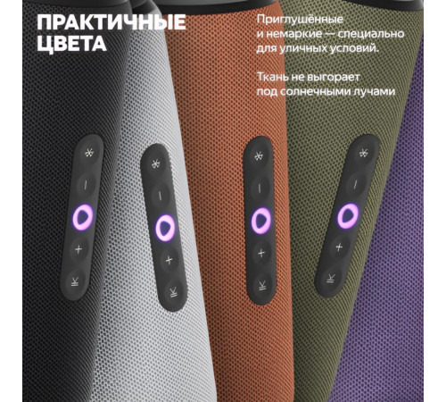 Яндекс Cтанция Стрит (портативная), умная колонка Алиса