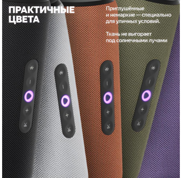 Яндекс Cтанция Стрит (портативная), умная колонка Алиса