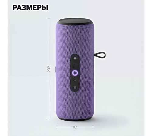 Яндекс Cтанция Стрит (портативная), умная колонка Алиса