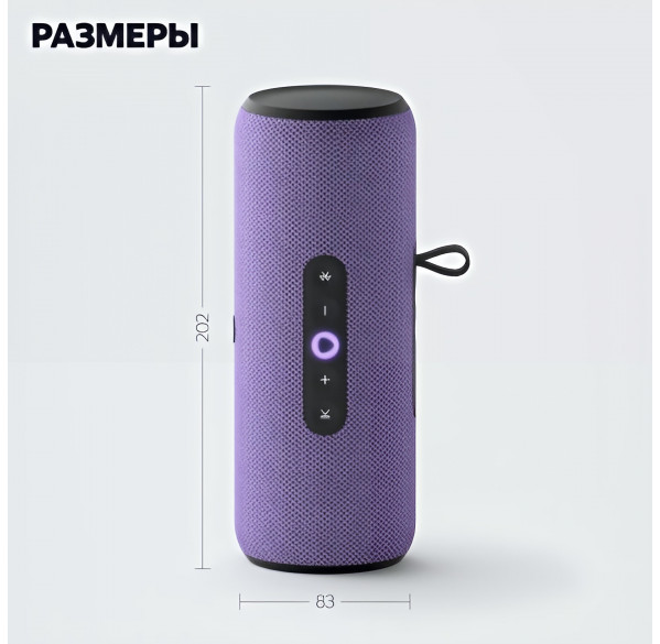 Яндекс Cтанция Стрит (портативная), умная колонка Алиса