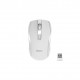 Комплект беспроводной клавиатура + мышь Meetion C4120 Little White (EN+RU+TM)