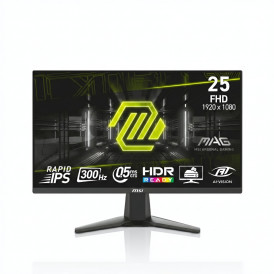 Монитор 25" MSI MAG 255PXF, FHD, 300Hz, игровой