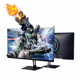 Монитор 25" игровой Thunderobot FHD 320Hz